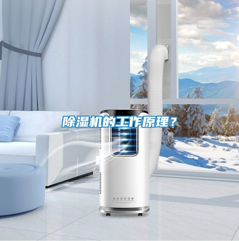除濕機(jī)的工作原理？