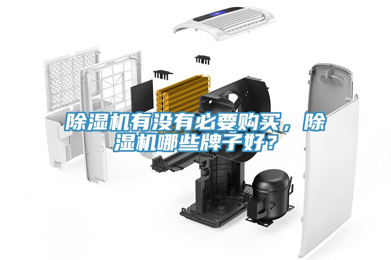 除濕機(jī)有沒有必要購買，除濕機(jī)哪些牌子好？