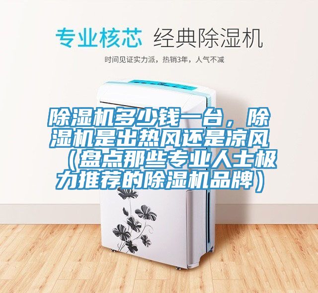 除濕機(jī)多少錢一臺(tái)，除濕機(jī)是出熱風(fēng)還是涼風(fēng)（盤點(diǎn)那些專業(yè)人士極力推薦的除濕機(jī)品牌）