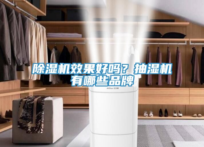 除濕機(jī)效果好嗎？抽濕機(jī)有哪些品牌