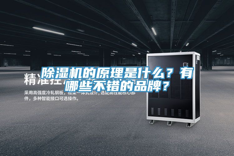 除濕機的原理是什么？有哪些不錯的品牌？