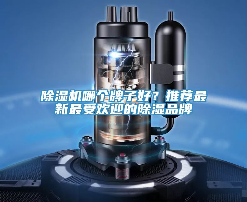 除濕機(jī)哪個(gè)牌子好？推薦最新最受歡迎的除濕品牌