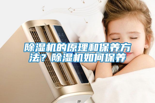 除濕機的原理和保養(yǎng)方法？除濕機如何保養(yǎng)
