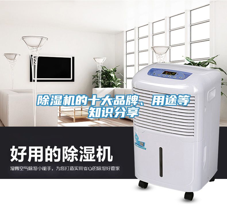 除濕機(jī)的十大品牌、用途等知識(shí)分享