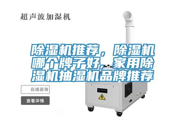 除濕機推薦，除濕機哪個牌子好, 家用除濕機抽濕機品牌推薦