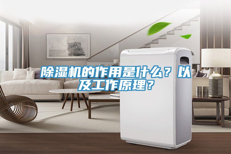 除濕機的作用是什么？以及工作原理？