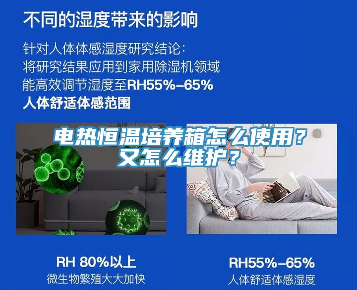 電熱恒溫培養(yǎng)箱怎么使用？又怎么維護(hù)？