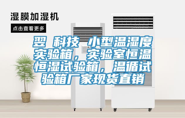 翌昇科技 小型溫濕度實驗箱，實驗室恒溫恒濕試驗箱，溫循試驗箱廠家現(xiàn)貨直銷