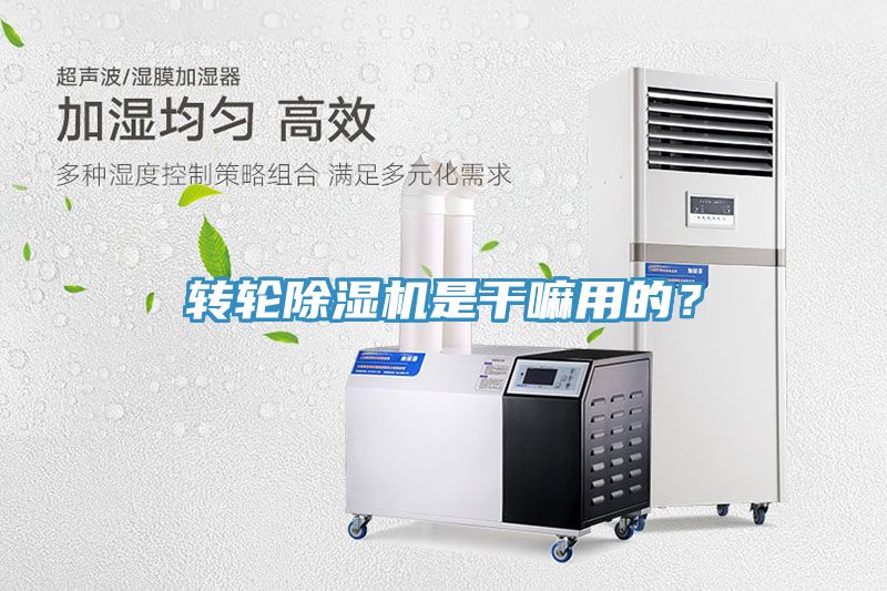 轉(zhuǎn)輪除濕機(jī)是干嘛用的？