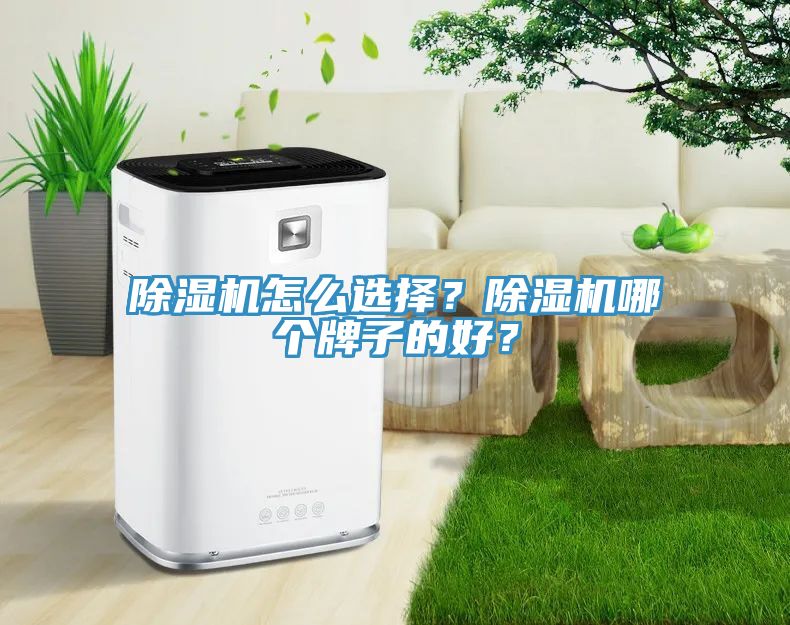除濕機怎么選擇？除濕機哪個牌子的好？