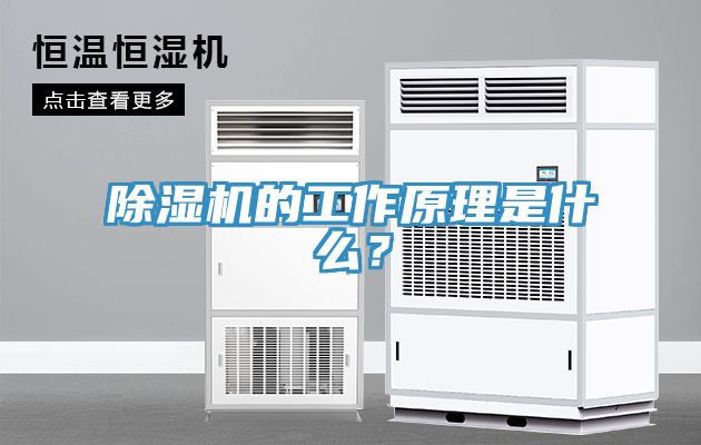 除濕機的工作原理是什么？