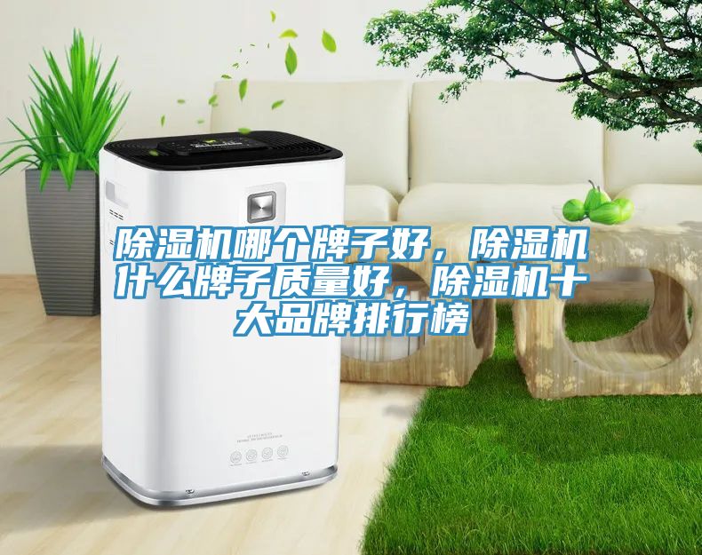 除濕機(jī)哪個(gè)牌子好，除濕機(jī)什么牌子質(zhì)量好，除濕機(jī)十大品牌排行榜