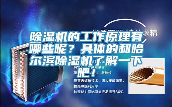 除濕機(jī)的工作原理有哪些呢？具體的和哈爾濱除濕機(jī)了解一下吧！
