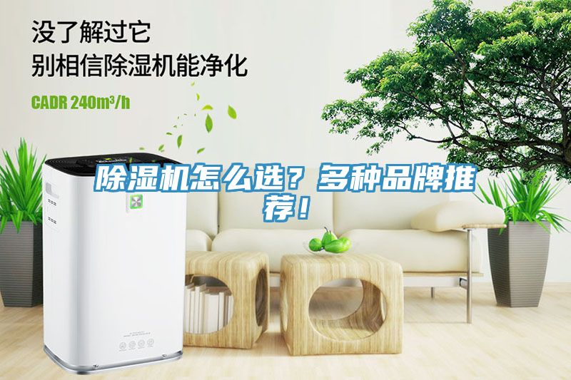 除濕機怎么選？多種品牌推薦！
