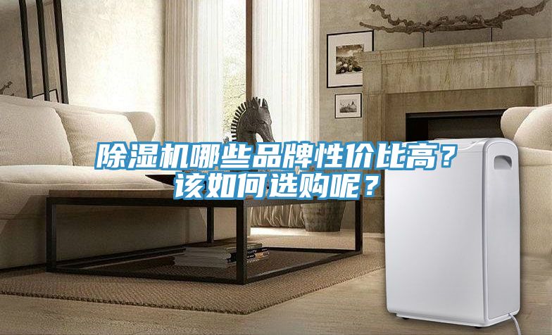 除濕機(jī)哪些品牌性價(jià)比高？該如何選購(gòu)呢？