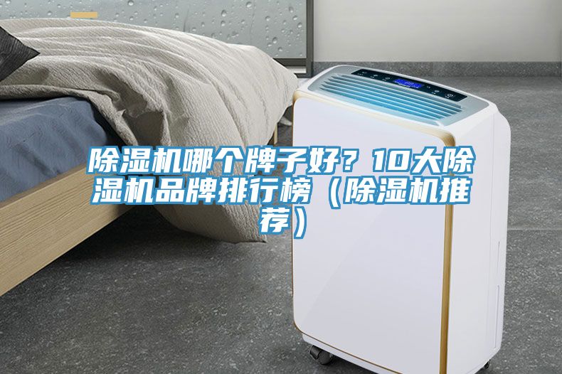 除濕機(jī)哪個(gè)牌子好？10大除濕機(jī)品牌排行榜（除濕機(jī)推薦）