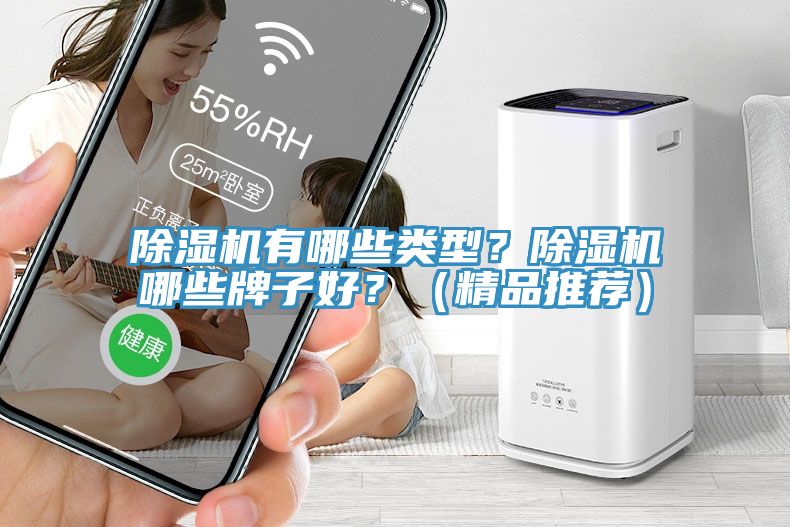 除濕機(jī)有哪些類型？除濕機(jī)哪些牌子好？（精品推薦）