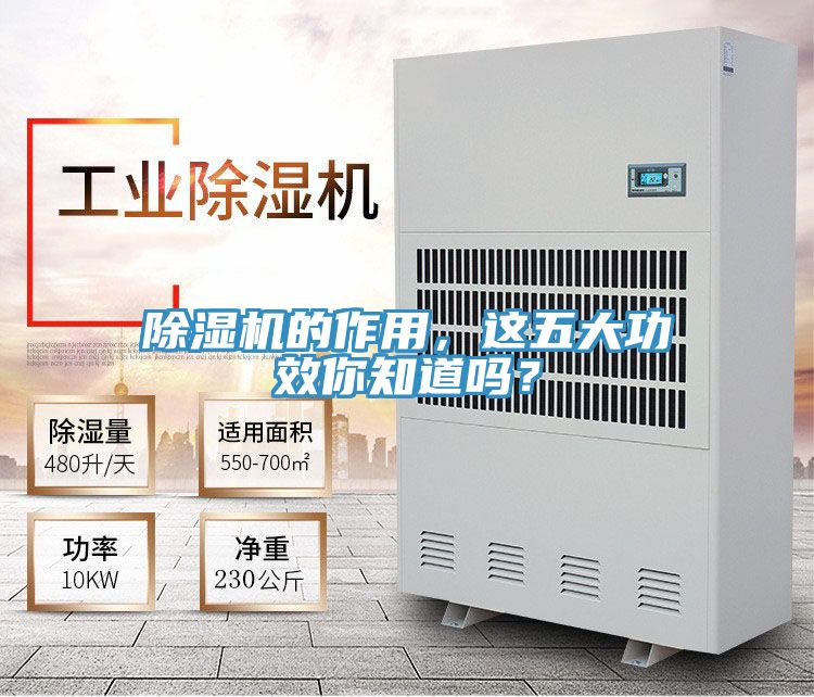 除濕機的作用，這五大功效你知道嗎？